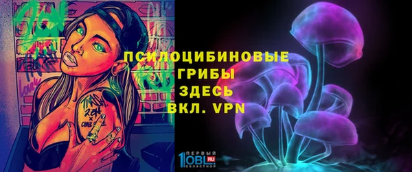 apvp Семилуки