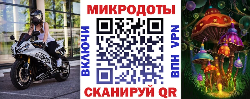 Галлюциногенные грибы Psilocybe  Сусуман 